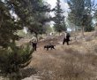 איפה ספרקה? חשש לגורלו של הצעיר החרדי מירושלים