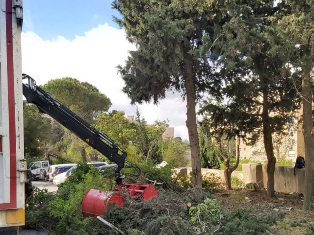צילום: דוברות העירייה 