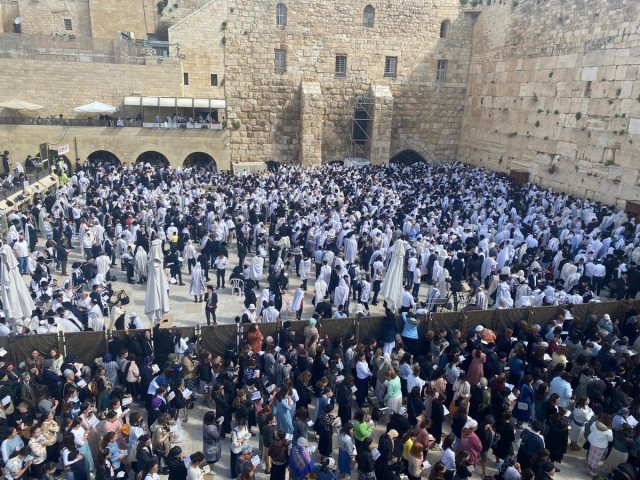 צילום: דוברות המשטרה 
