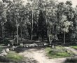 עיינות גיבתון (מעיינות מזכרת בתיה) לפני השריפה - ווידאו למזכרת מהשמורה היפייפיה שעלתה באש