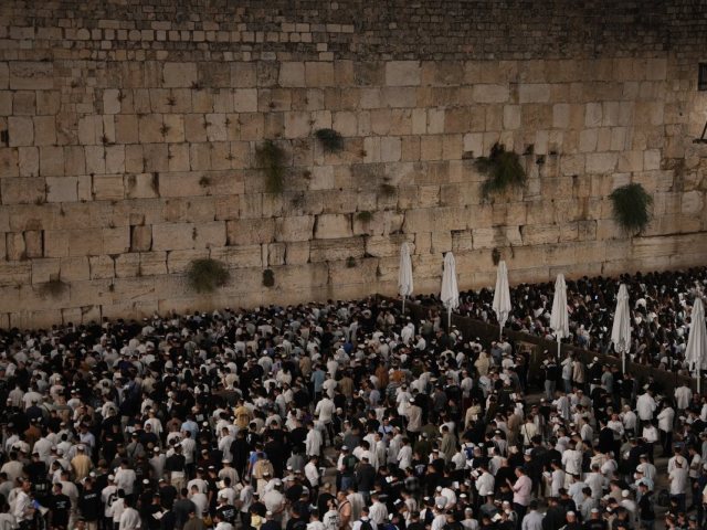 צילום: דוברות המשטרה 