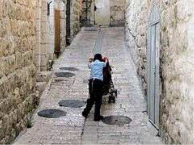 צילום: פלאש 90