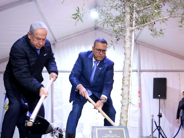 צילום: ארנון בוסאני