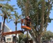 נערכים לסופ"ש גשום: