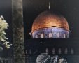 תמונה שאותרה מתוך הנייד של החשוד. צילום: דוברות המשטרה 