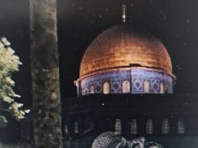 תמונה שאותרה מתוך הנייד של החשוד. צילום: דוברות המשטרה 