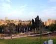 גינת הכלבים בגן סאקר– קרדיט: דוברות עיריית ירושלים