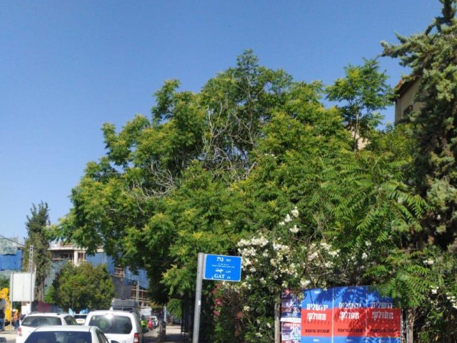 בנקודות שונות בירושלים נתלו שלטים המתריעים "ירושלים תחולק",