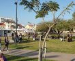 "תוך שניות בודדות הוא פשוט הסתער עליו ולא הרפה"!