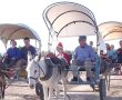 המלצות לבילוי בסופ"ש ביישובי הדרום והסביבה