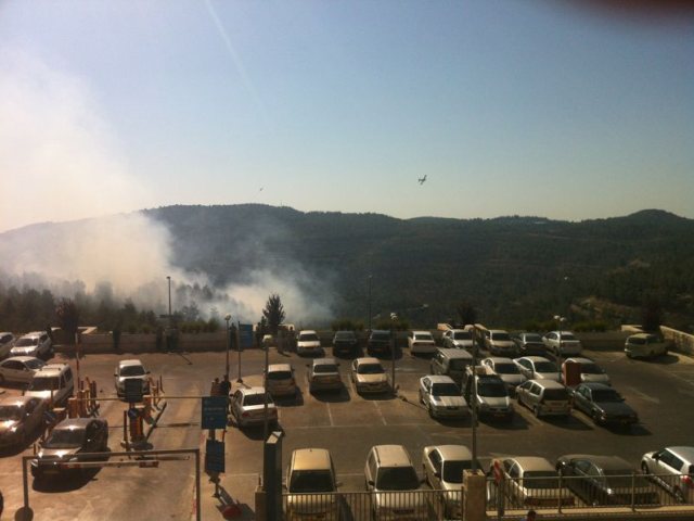 השריפה היום, קבוצת העיתונאים רוטרניק