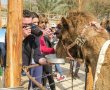 הפנינג מטריף במדבר לכל המשפחה