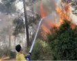 צילום: דוברות כבאות והצלה 