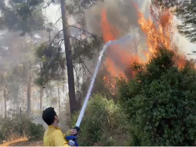 צילום: דוברות כבאות והצלה 