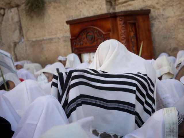 צילום: פלאש 90