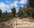 בשורה לאוהבי היער והטבע: קק"ל ממשיכה במסורת הסיורים ביער ירושלים