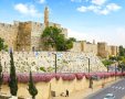 צילום: ארנון בוסאני 