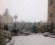 שלג בירושלים: אין לימודים