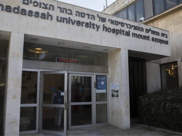 צילום: יונתן זינדל/ פלאש 90
