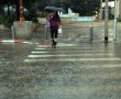 קר שם בחוץ   עצים קורסים