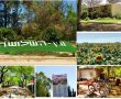 בואו לשבת של כיף וקליטה- דרום אדום  בעין השלושה