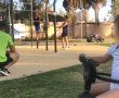 כך הפך פארק הסופרים למלכודת מוות: "אין אכיפה ובסוף ייהרג פה ילד"