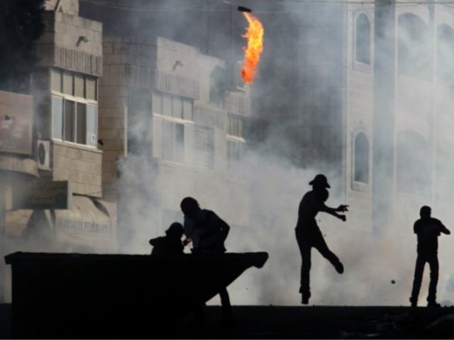 צילום ארכיון: פלאש 90