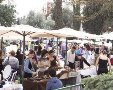 תמונה ללא תיאור