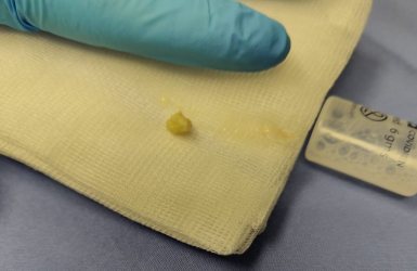 צילום: דוברות שערי צדק 