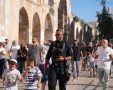 צילום: דוברות המשטרה 