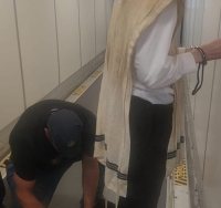 צילום: דוברות המשטרה 