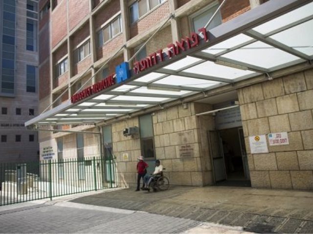 צילום: פלאש 90
