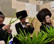 חיבוב מצווה: הצלם האשדודי יצא לשוק ארבעת המינים ושב עם גלריה מרהיבה. צפו