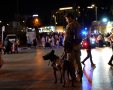צילום: דוברות המשטרה 
