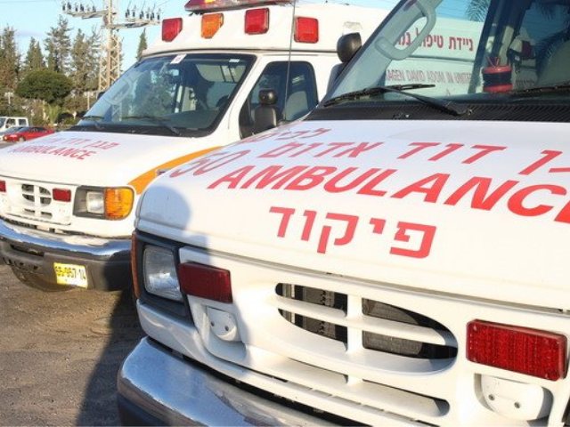 פלאש 90