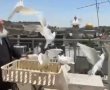 "יצחק, לפעמים השתיקה יפה"
