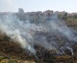 שוב: שריפת צמחים באזור ליפתא