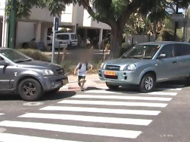 צילום: עמותת אור ירוק 