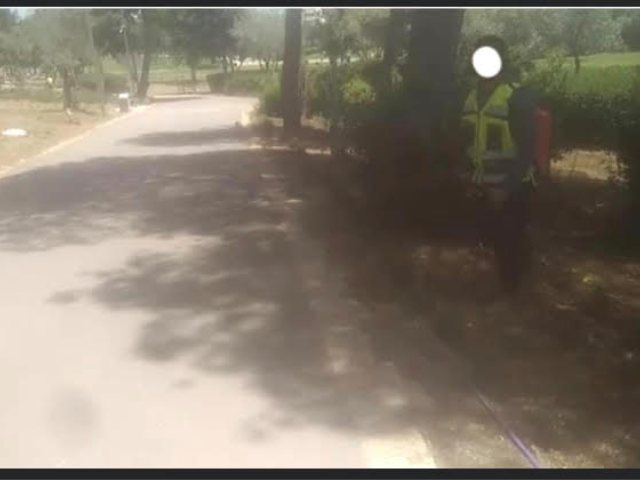 העובד שביצע את הריסוס(צילום: מתוך עמוד הפייסבוק של אריה קינג)