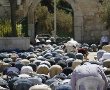 הרמדאן מתחיל: פעילות ימין קראו קריאות גנאי לעבר ערבים