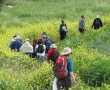 מטיילים  באביב : 6 כללים לטיול מוצלח בטבע