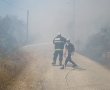הושגה שליטה על השריפה בליפתא