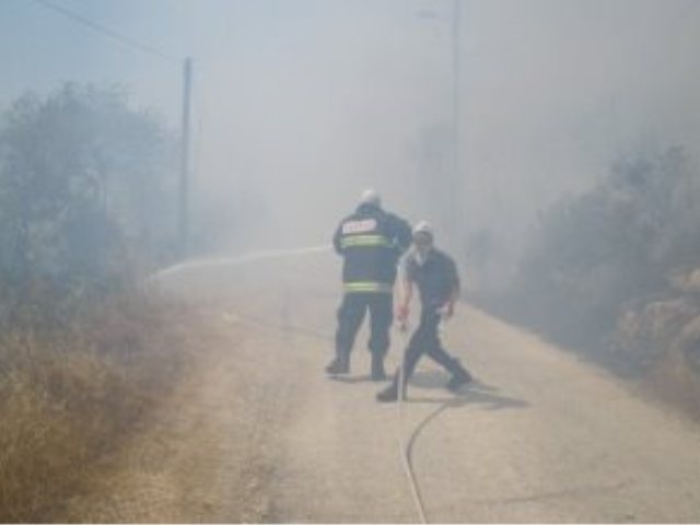 צילום: ארכיון
