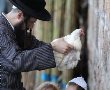 יום כיפור: סגר כללי על שטחי יו"ש ורצועת עזה- הערכות בירושלים