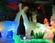 תמונה ללא תיאור