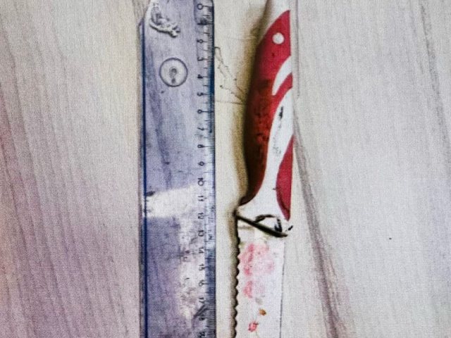 הסכין באמצעותה איים החשוד על אביו. צילום: דוברות המשטרה 