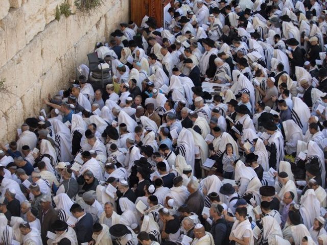 ברכת הכהנים בכותל. הדס פרוש, פלאש 90