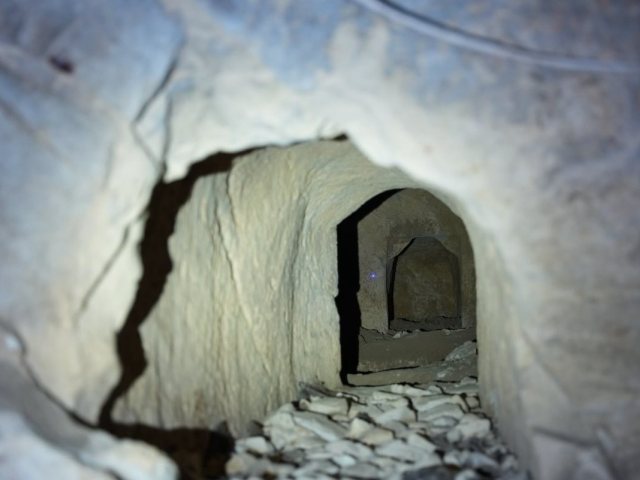 צילום: דוברות המשטרה 
