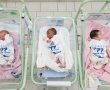 "מול הלהבות והכאב": תינוקות בכחול-לבן באסותא אשדוד 