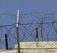 צילום: דוברות המשטרה 